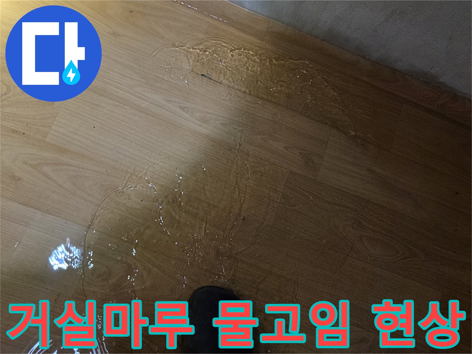 송파구-거실-강마루-표면-물고임-현상-확인