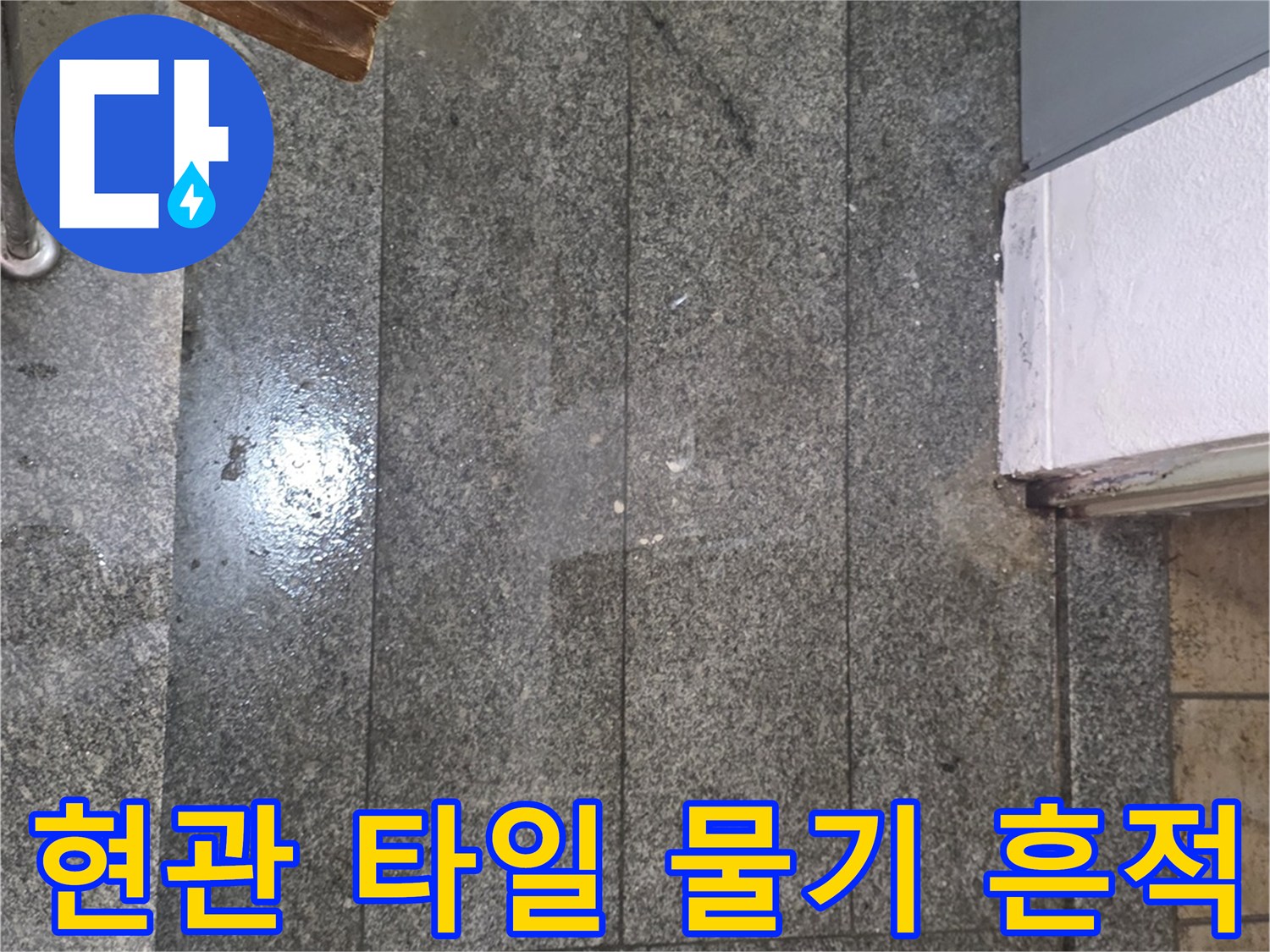 송파구 현관문 앞 타일 사이로 스며 나온 물기 흔적