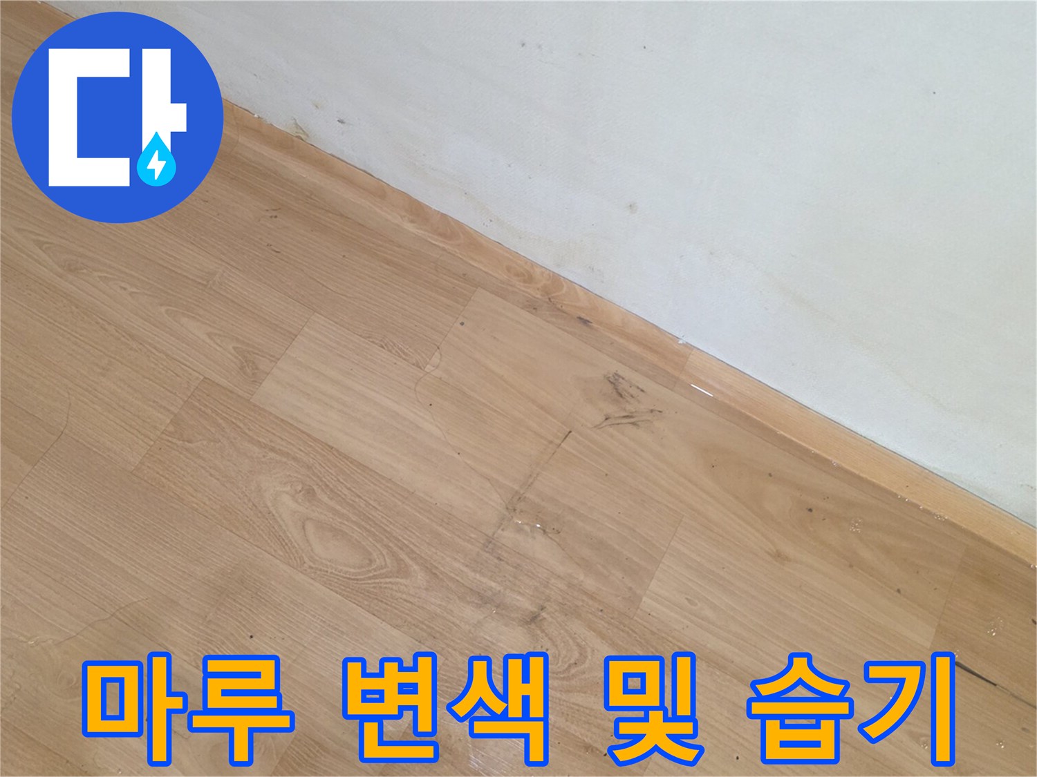 송파구 현장-벽면 하단부의 물샘 흔적 사진