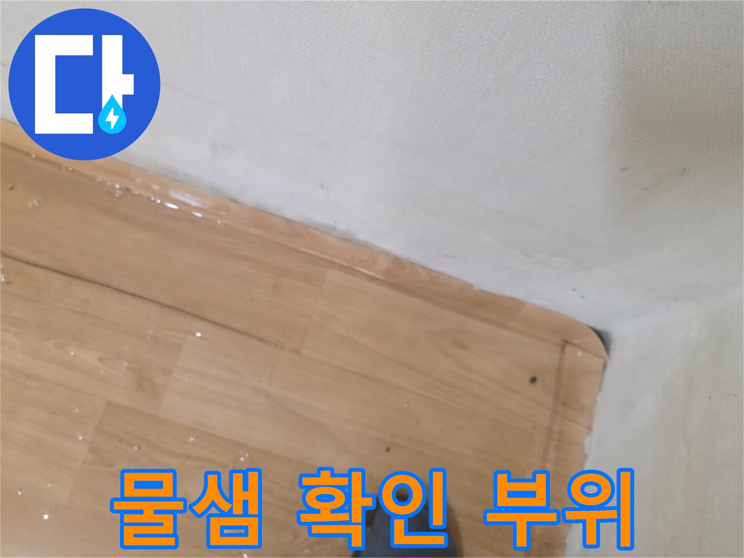 현관 입구 마루의 짙은 변색과 습기 상태