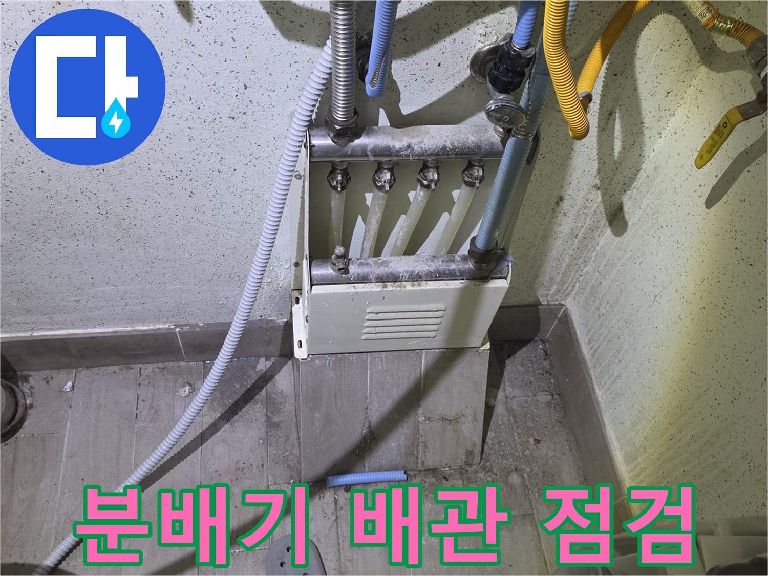 수도-분배기-연결-배관-및-호스-확인
