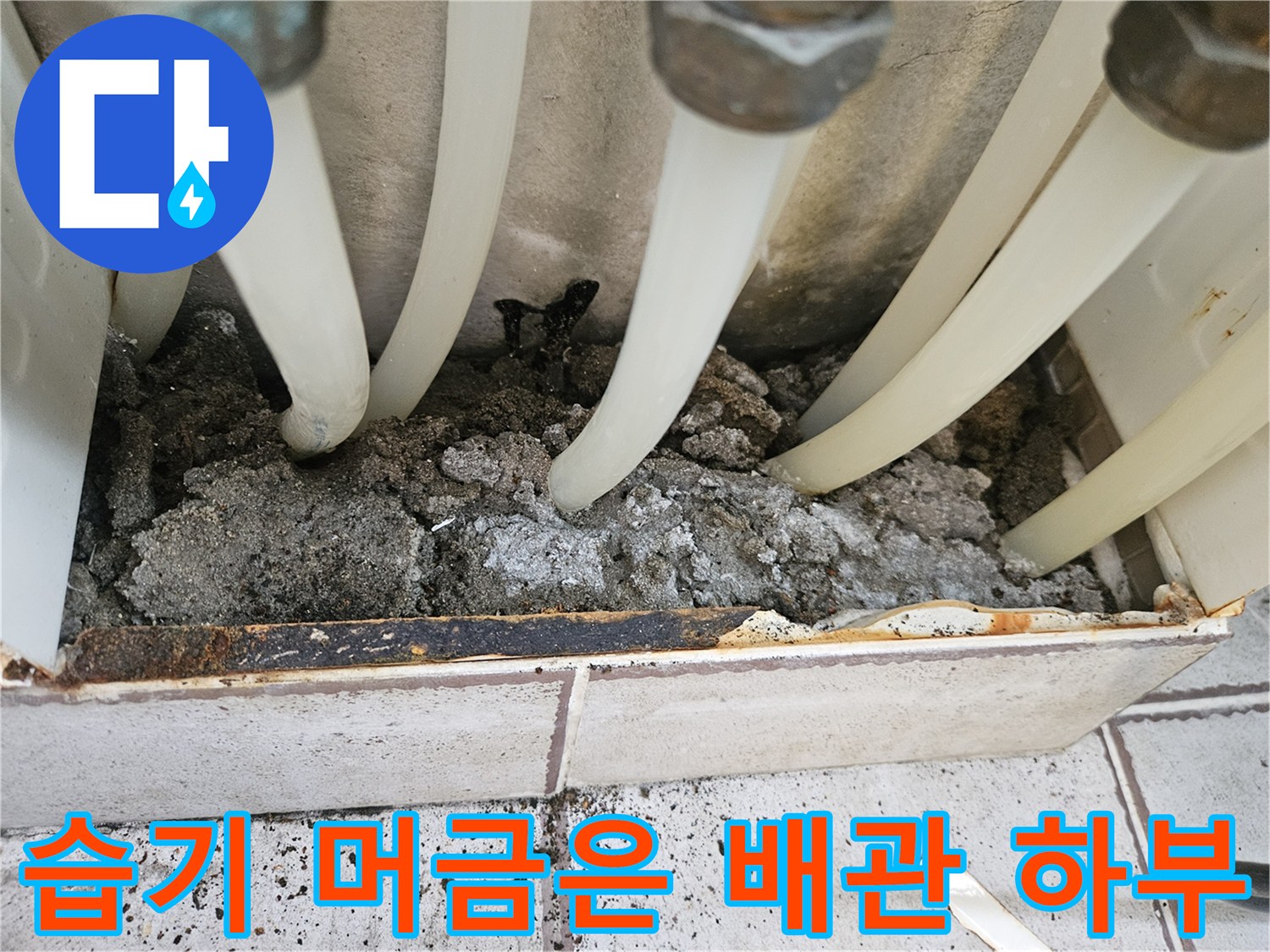 배관-주변의-축축하게-젖은-미장-상태