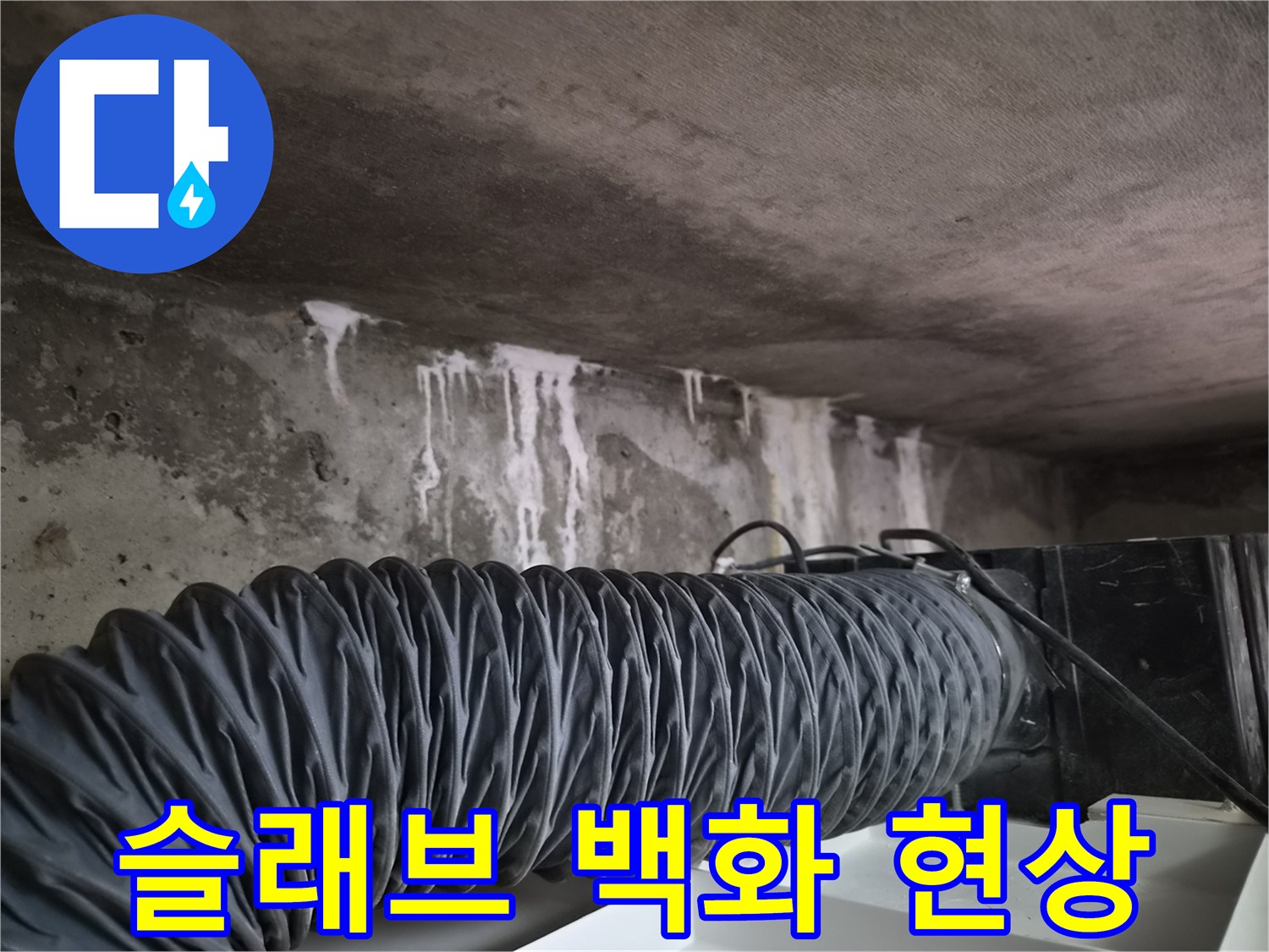천장-콘크리트-슬래브-백화-현상-사진