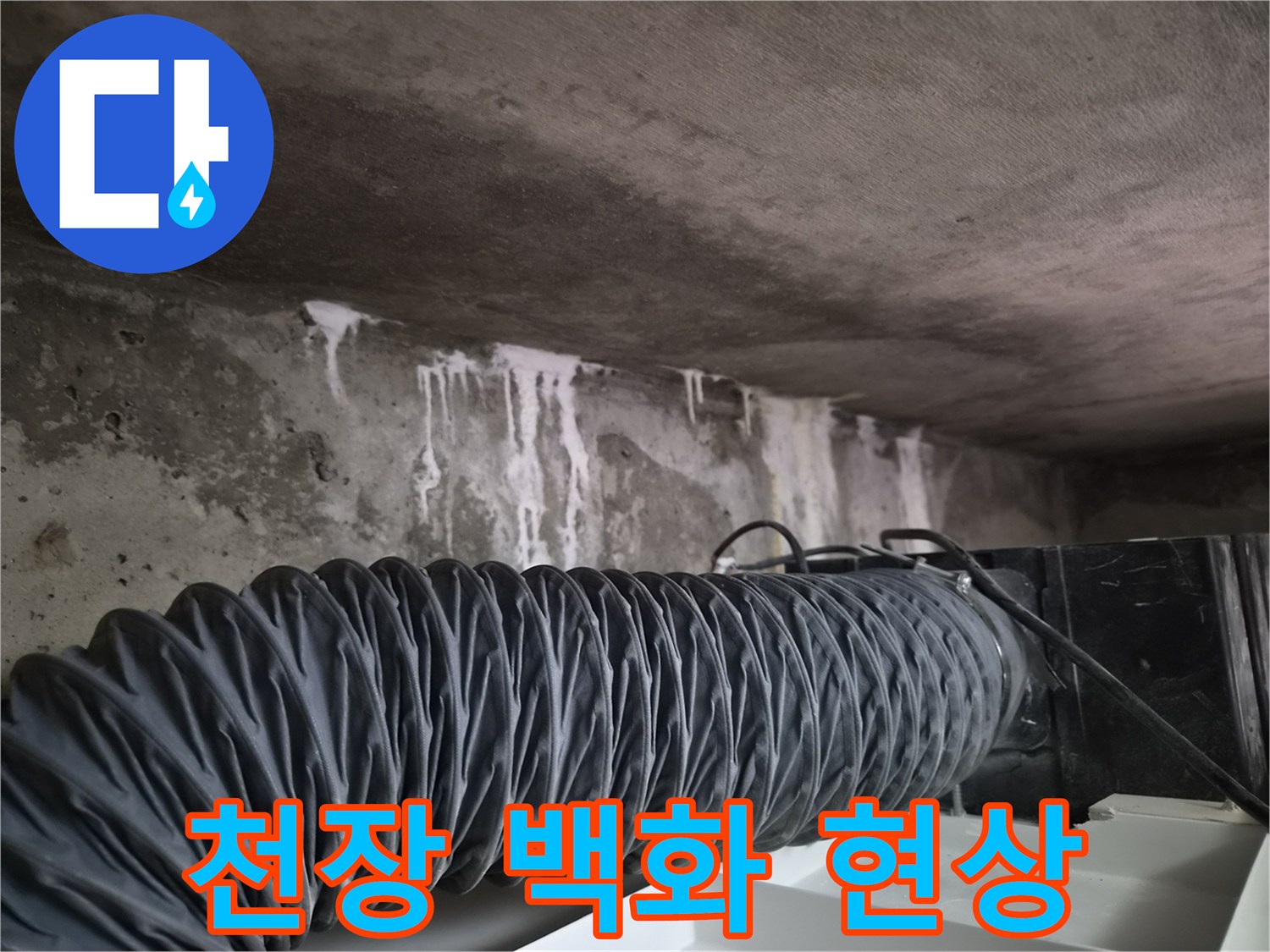 콘크리트-슬래브-백화현상-및-누수-흔적