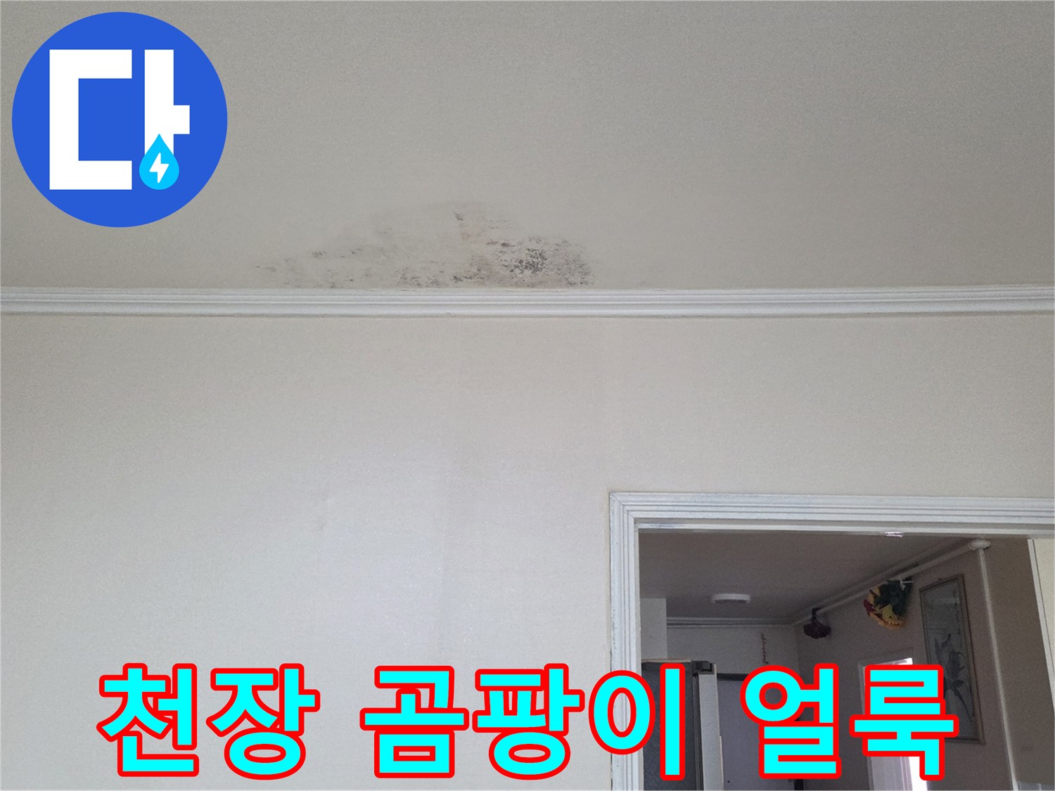 화장실 입구 천장-물자국과 곰팡이가 발생한 모습