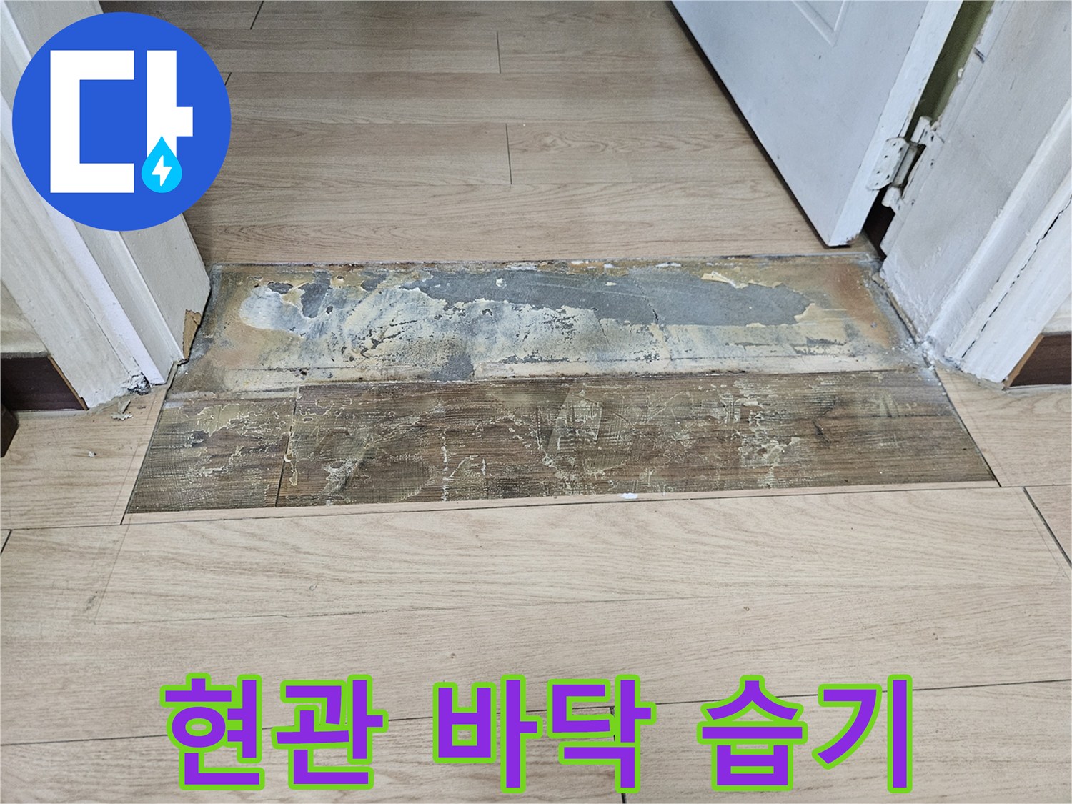 물기에 의한 마루 색상 변화 현장
