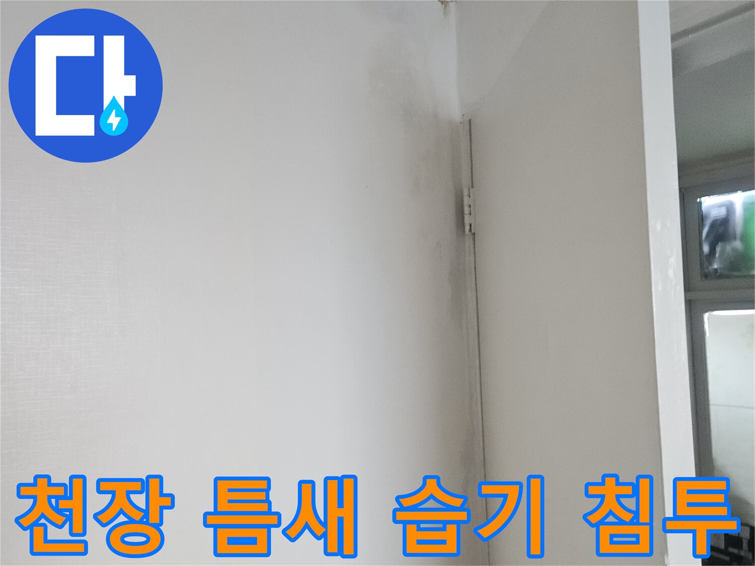 천장 판넬 사이로 스며든 누수 흔적 사진