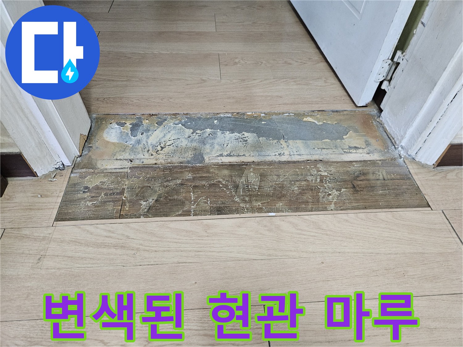 현관 입구 마루의 곰팡이 및 변색 부위