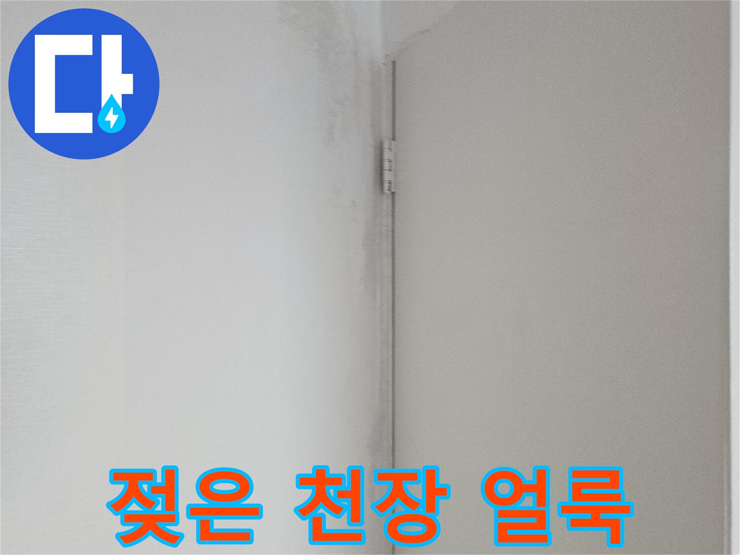 현관 천장 부위의 누수 피해 흔적