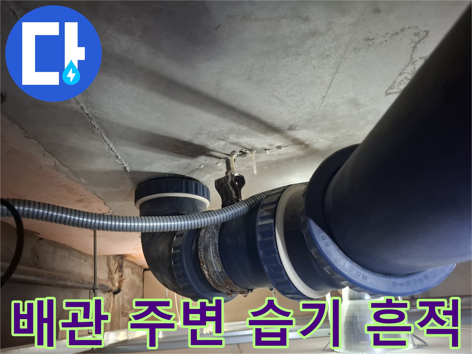 천장 배관 연결 부근의 습기 및 백화 현상