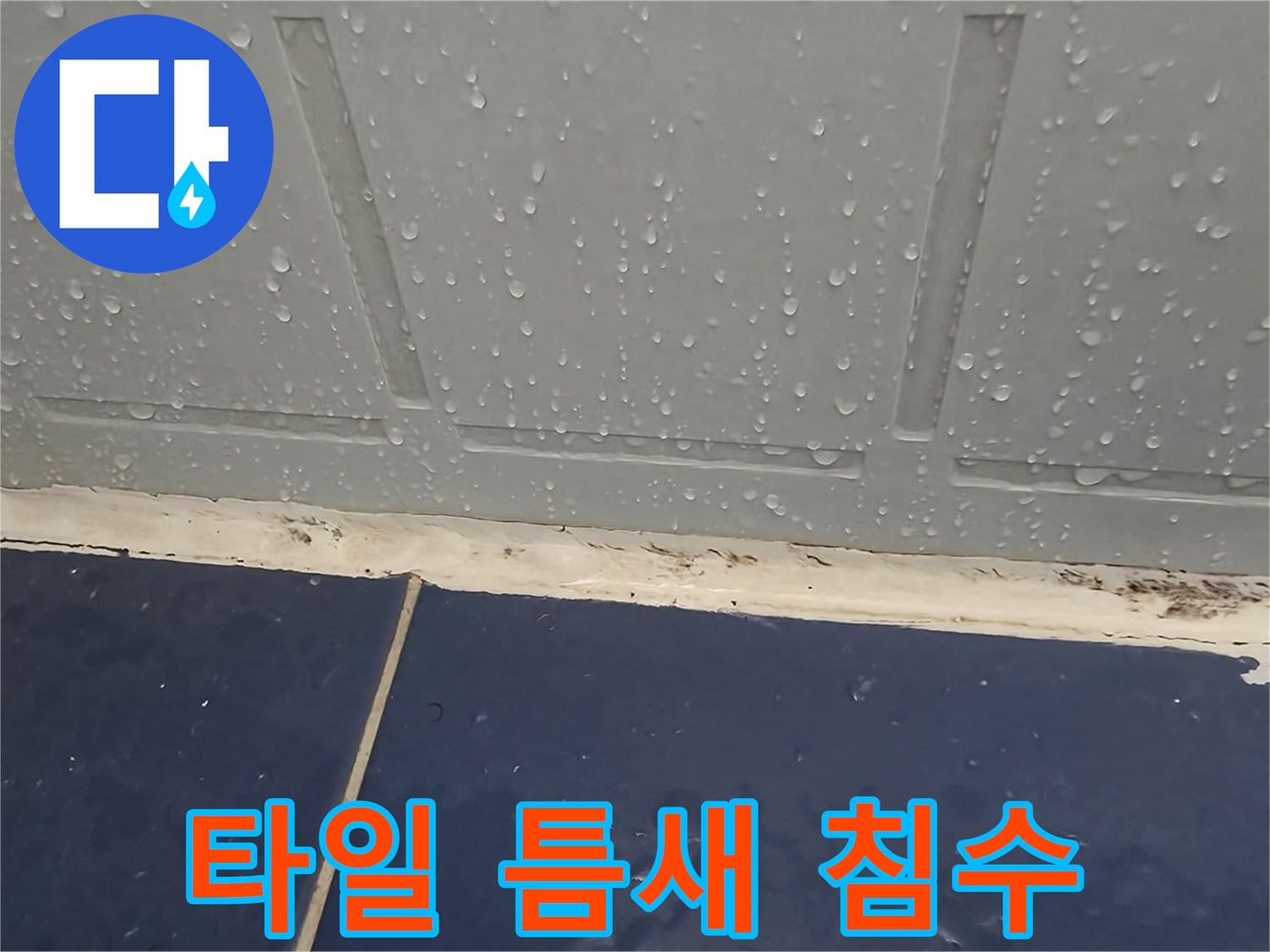 벽면-하단-타일-사이-물고임-증상