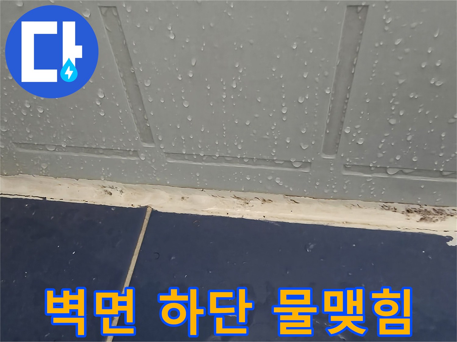 욕실-타일-하단부-침수-상태-확인