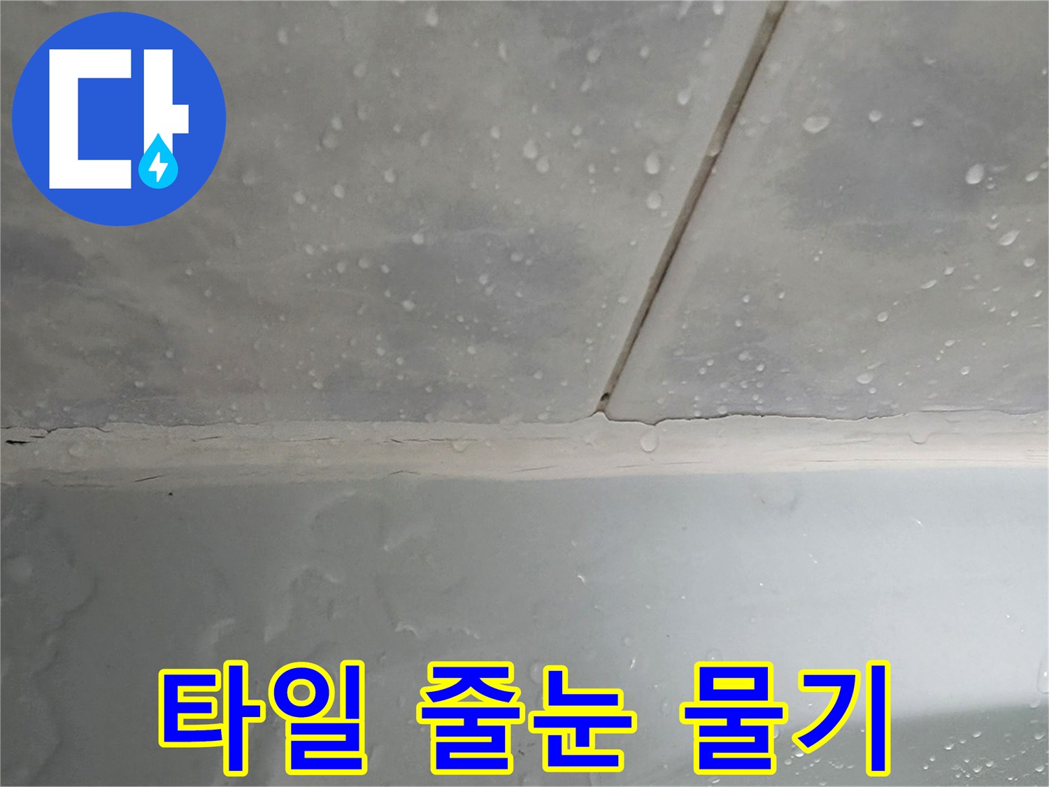 타일-경계면에-맺힌-물방울-사진