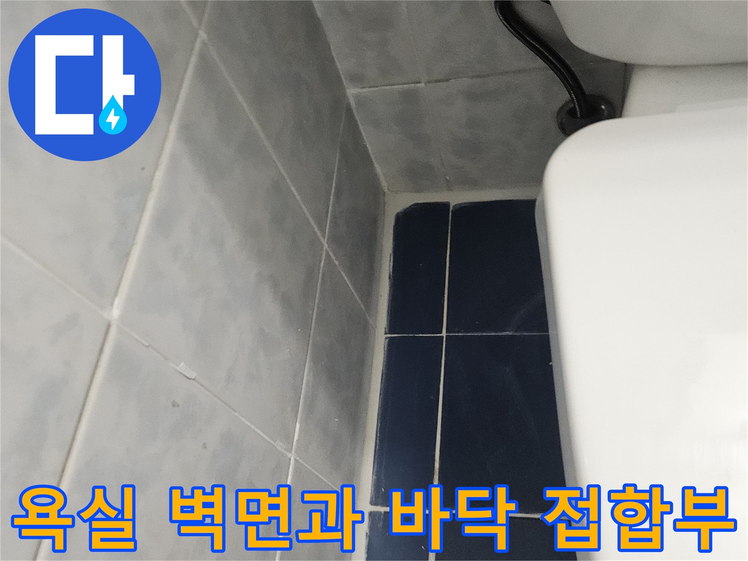 파란색-벽타일-및-바닥-타일-경계선