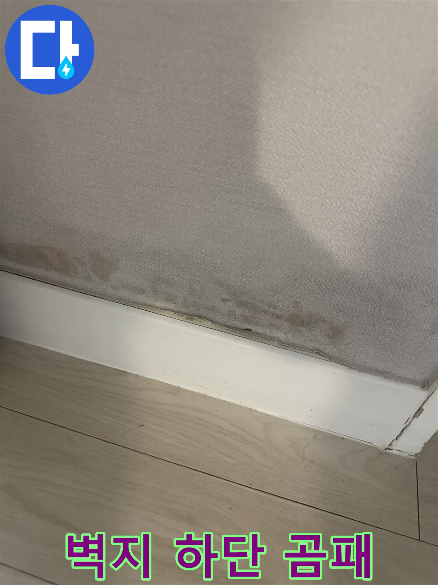 벽지 하단부에 형성된 곰팡이와 습기 자국