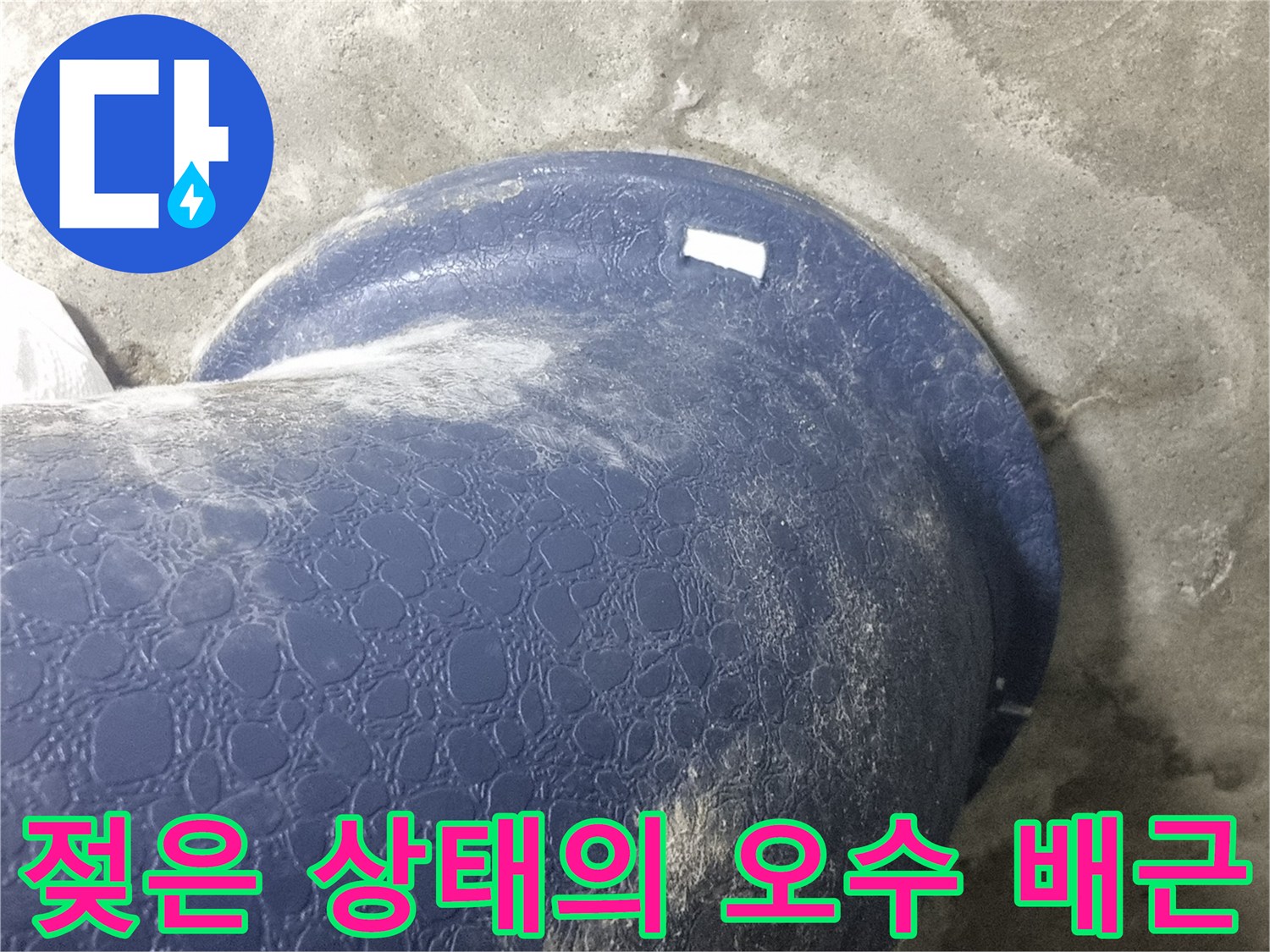파란색 오수 배관-습기가 있는 콘크리트 면