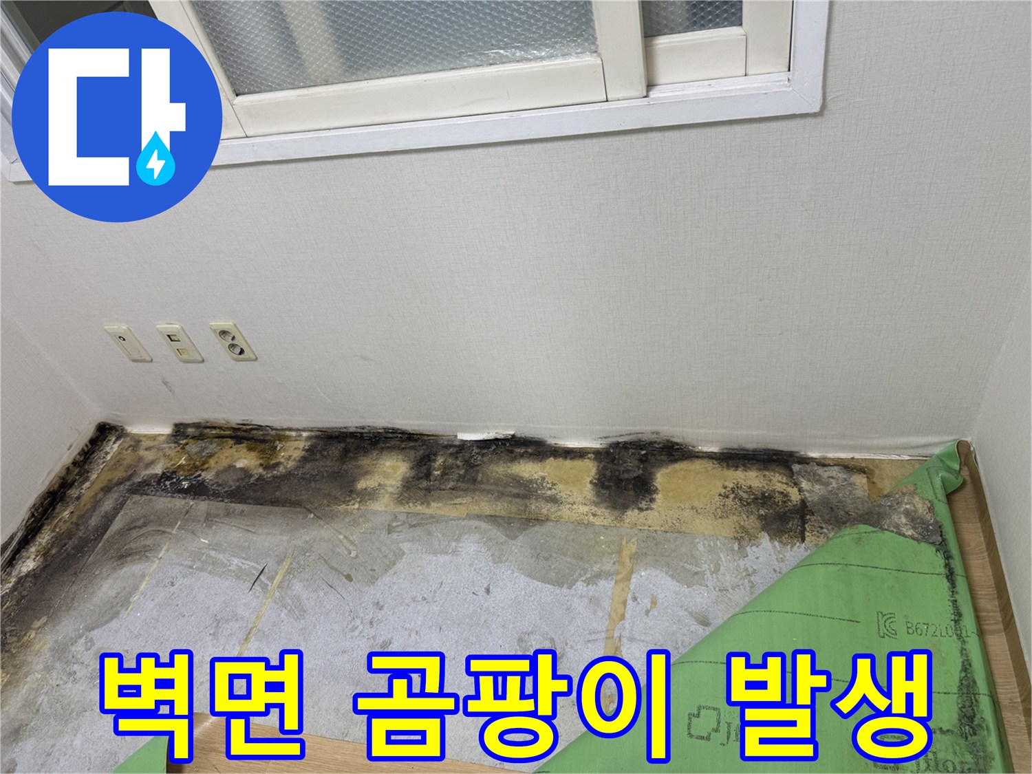 창가 하단 벽체-습기로 인한 곰팡이 오염 부위