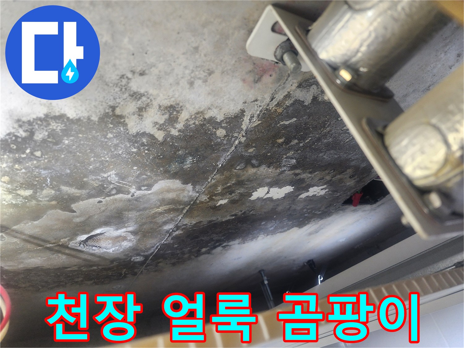 콘크리트 천장에-넓게 퍼진-물얼룩과-곰팡이 제거 현장
