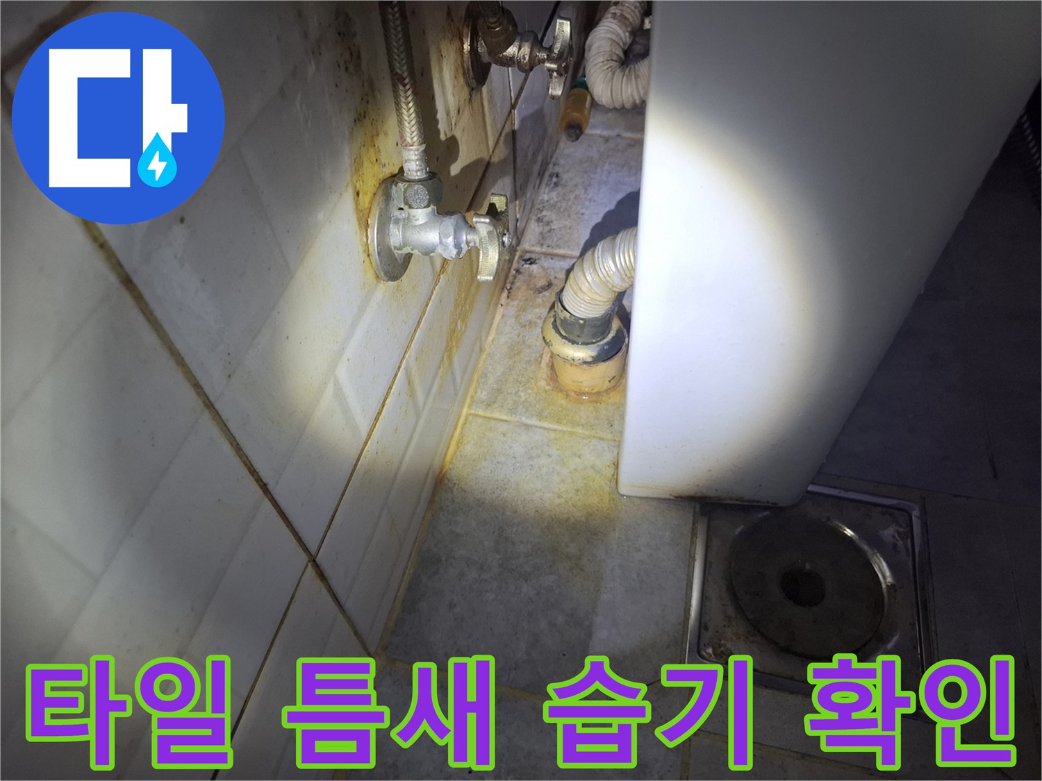 욕실-하단-타일-사이의-물때와-습기-흔적