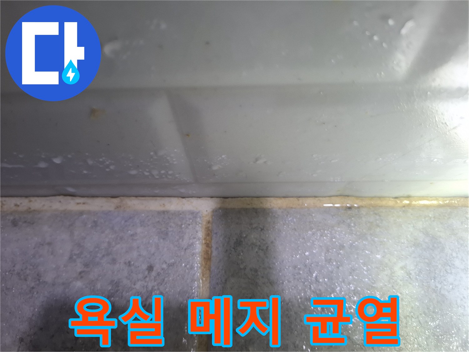 타일-사이-벌어진-틈새와-물기-확인