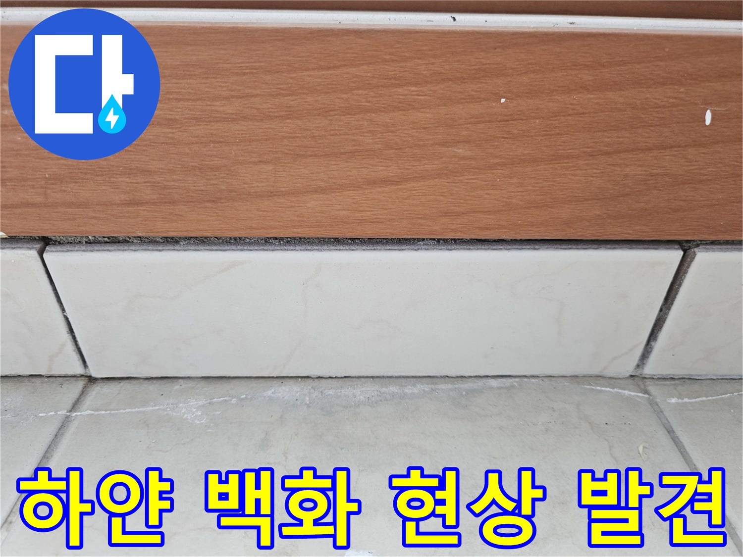 타일-사이의-하얀색-백화-현상과-균열-부위