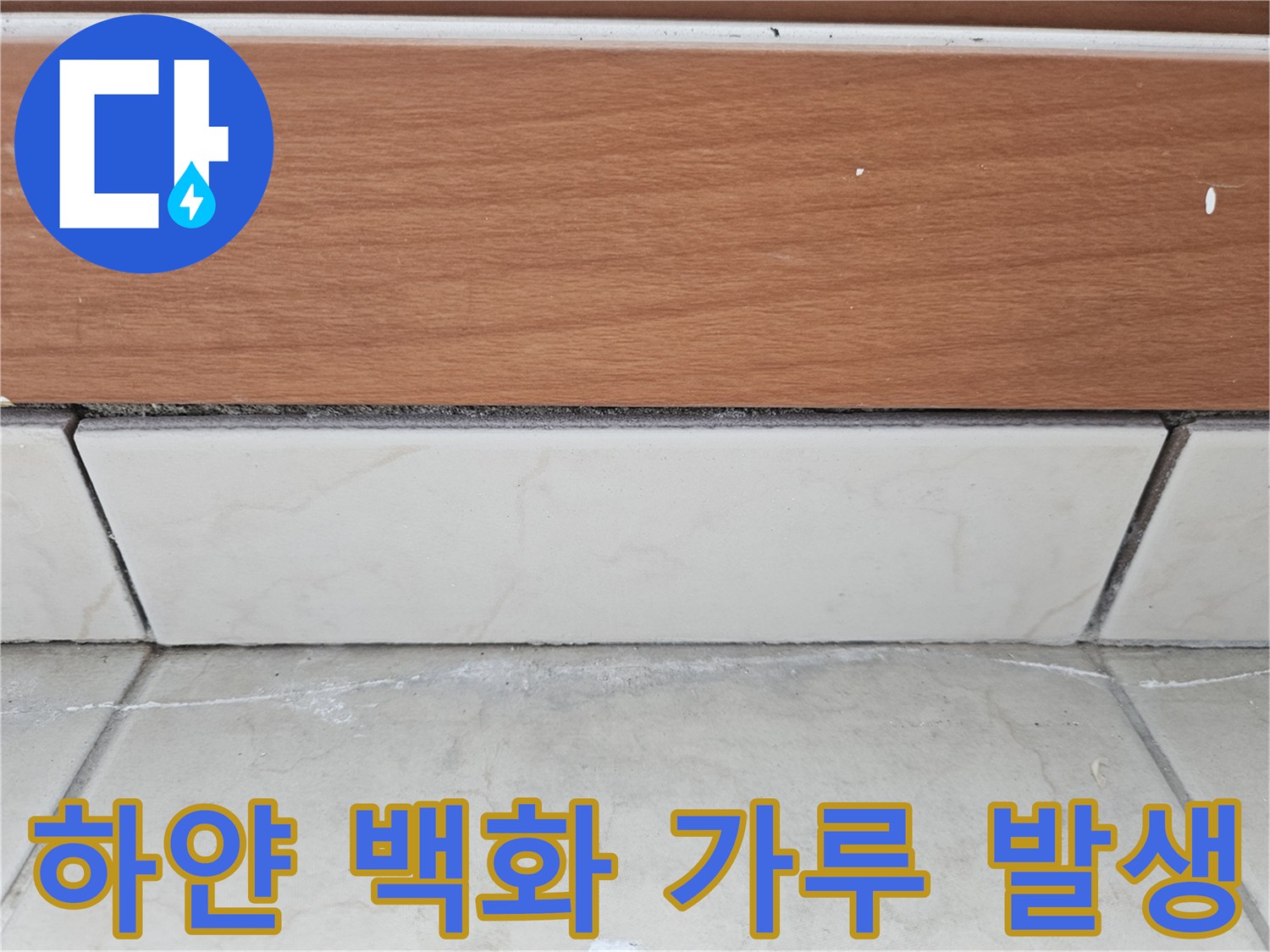 타일 이음새를 따라 형성된 하얀색 석회 성분