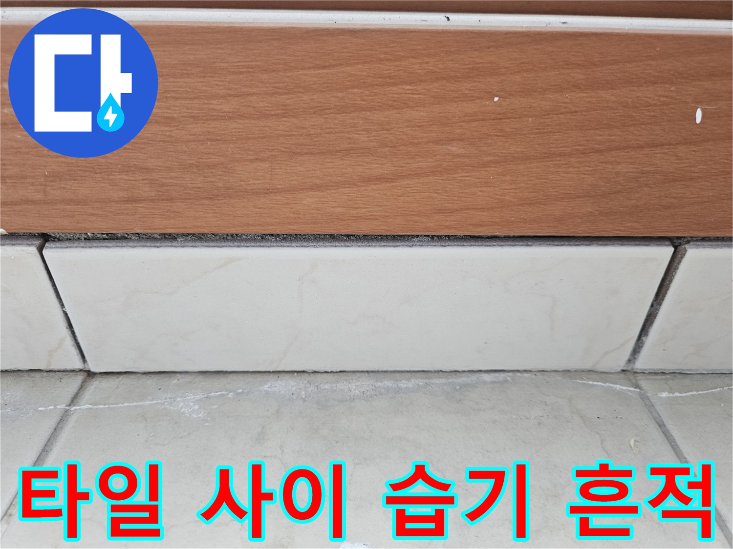 타일 접합부에 맺힌 하얀색 백화 물질