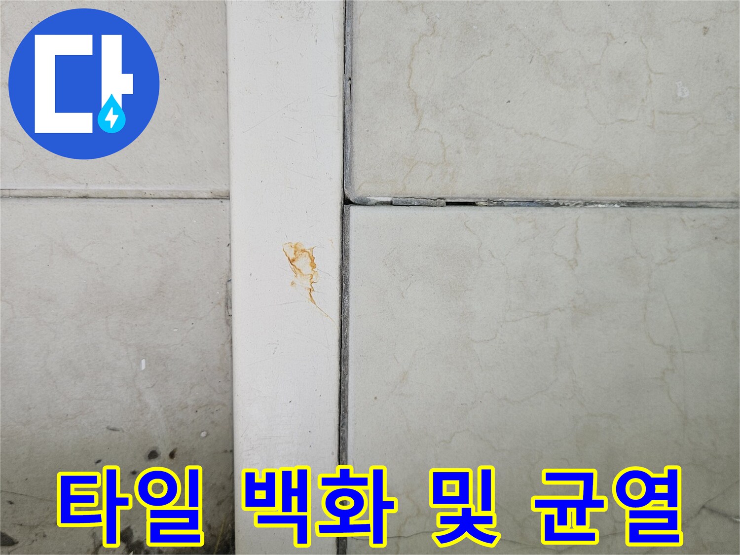 하얀 백화 물질이 올라온 베란다 타일 줄눈