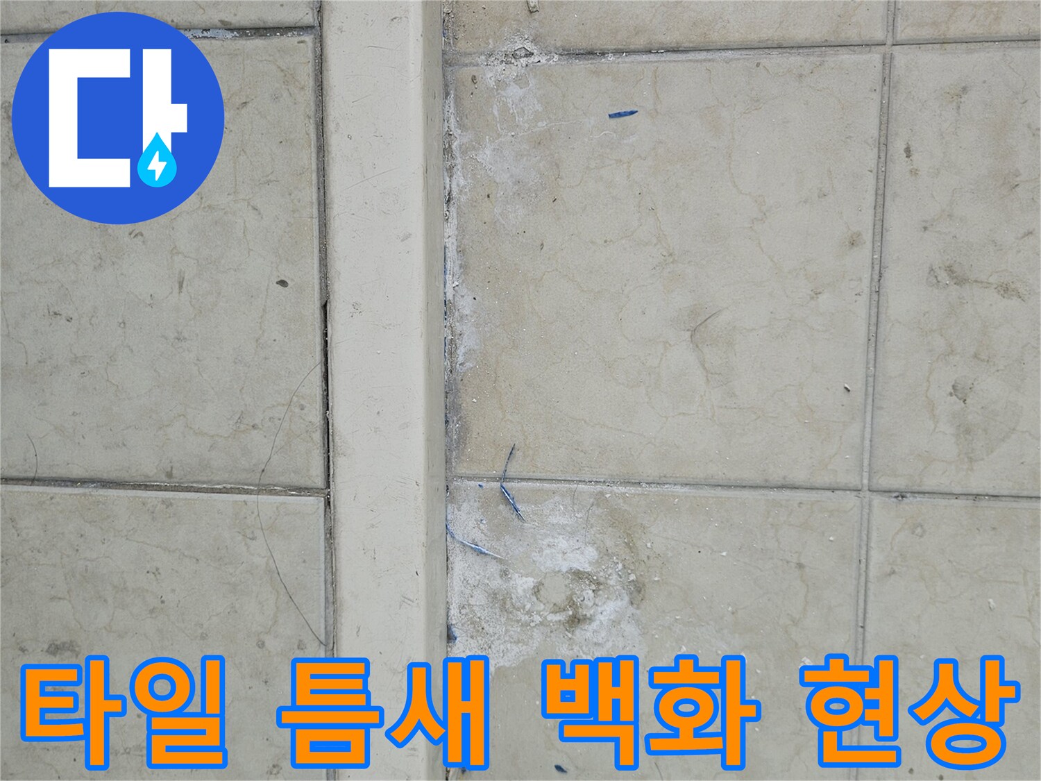 하얗게-부풀어-오른-타일-줄눈-백화-흔적