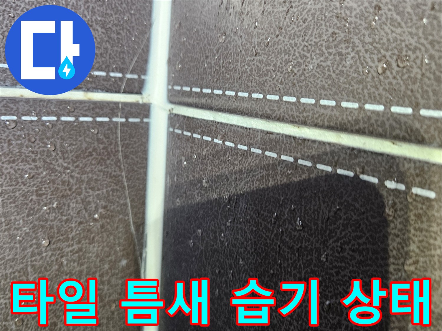 물기가 머물러 있는 타일 줄눈 부위 근접 사진입니다.