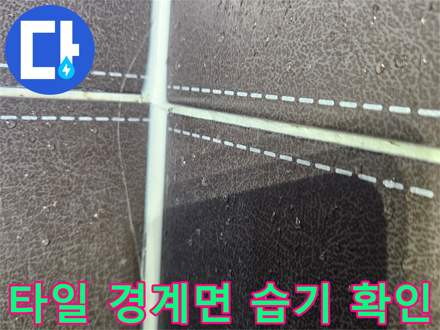 타일-경계-사이의-축축한-상태-관찰