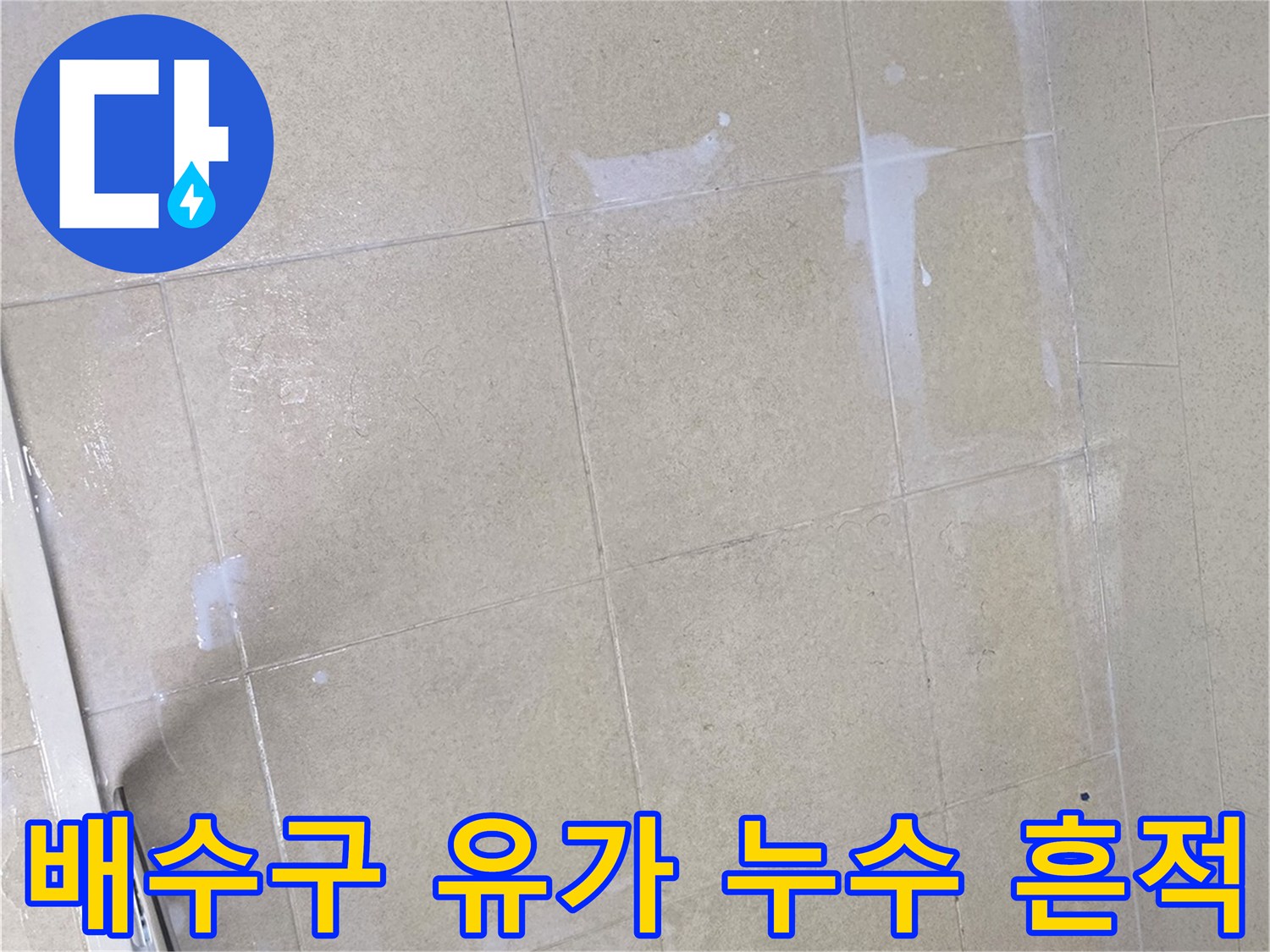 화장실 배수구-주변 타일의 백화 현상 사진