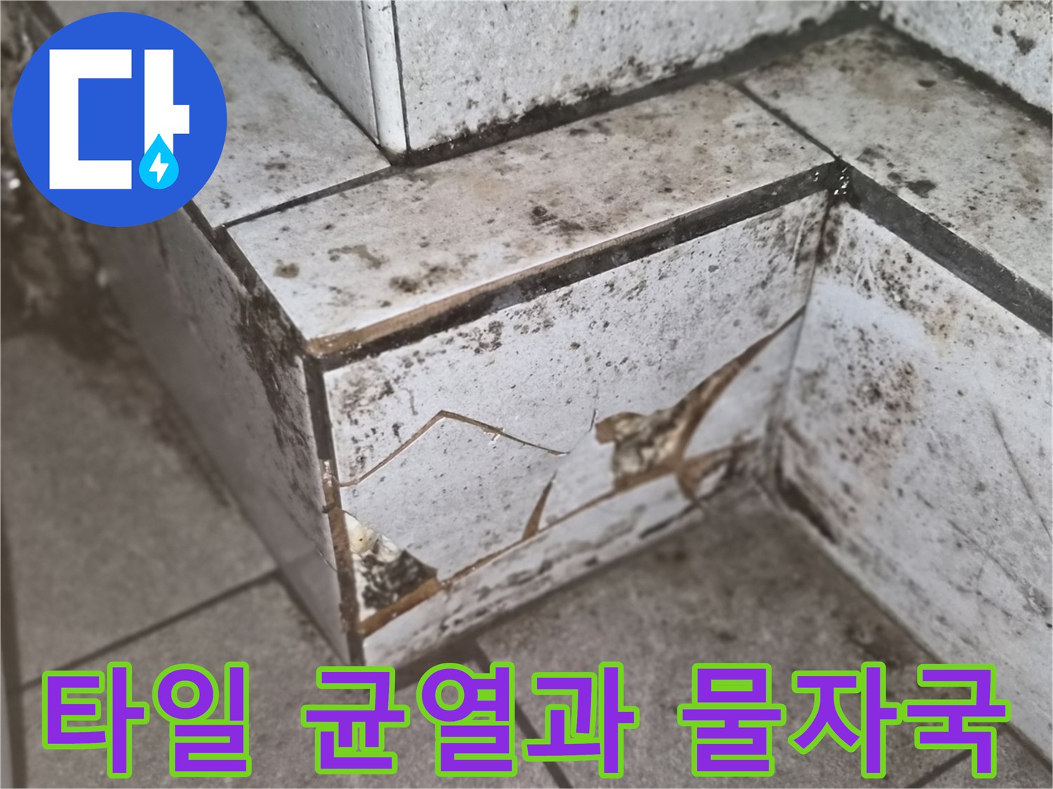 종로구 상가 내부-타일 파손 및 습기 흔적 사진