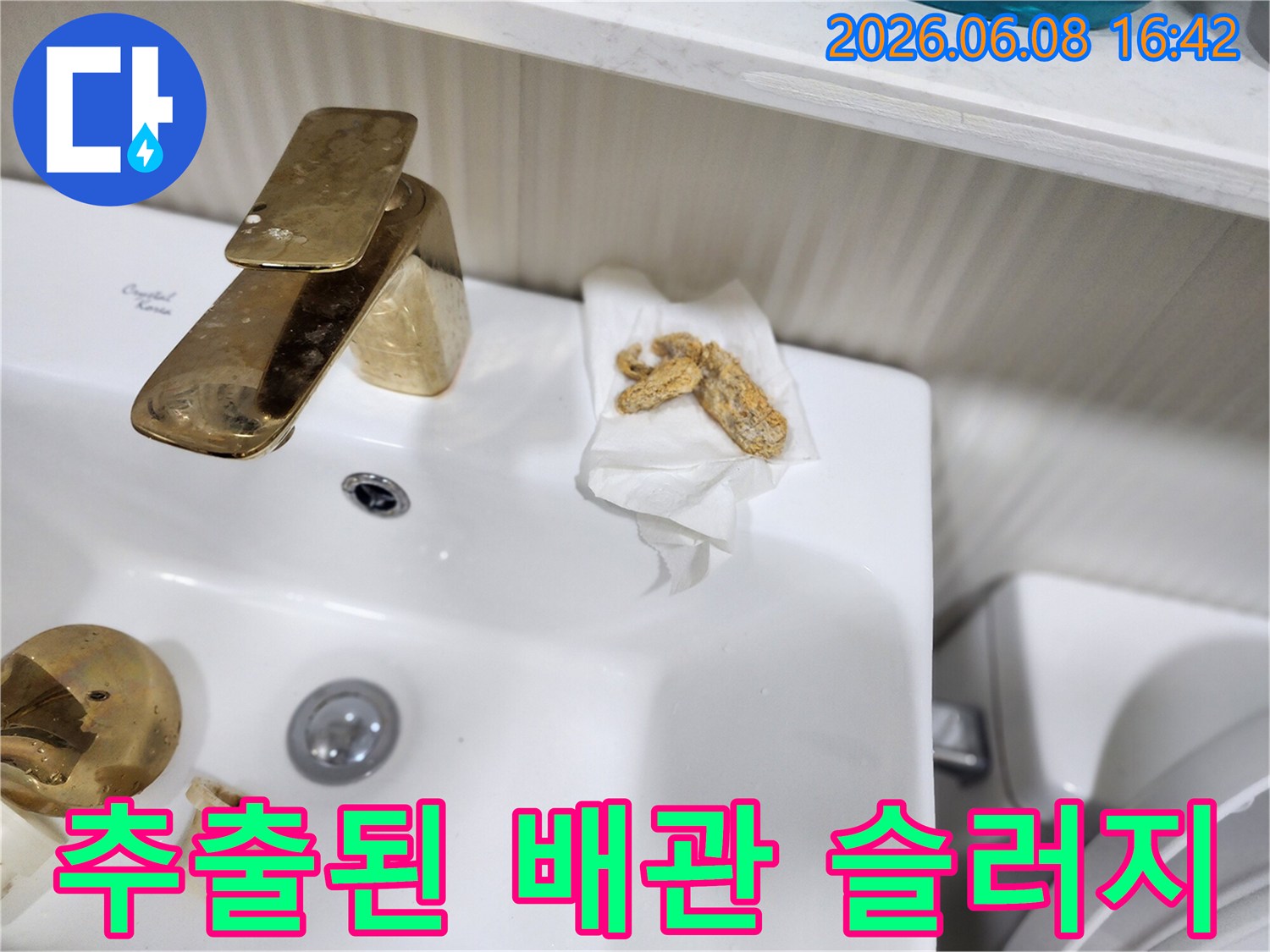 배수구 막힘을 유발한 단단한 형태의 슬러지