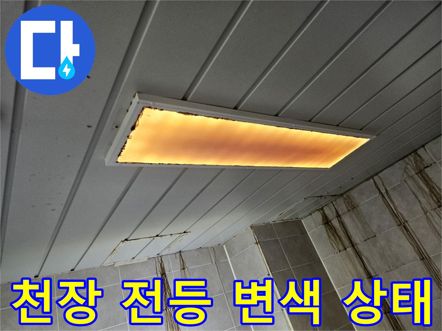 전등-내부-물고임-및-변색-확인