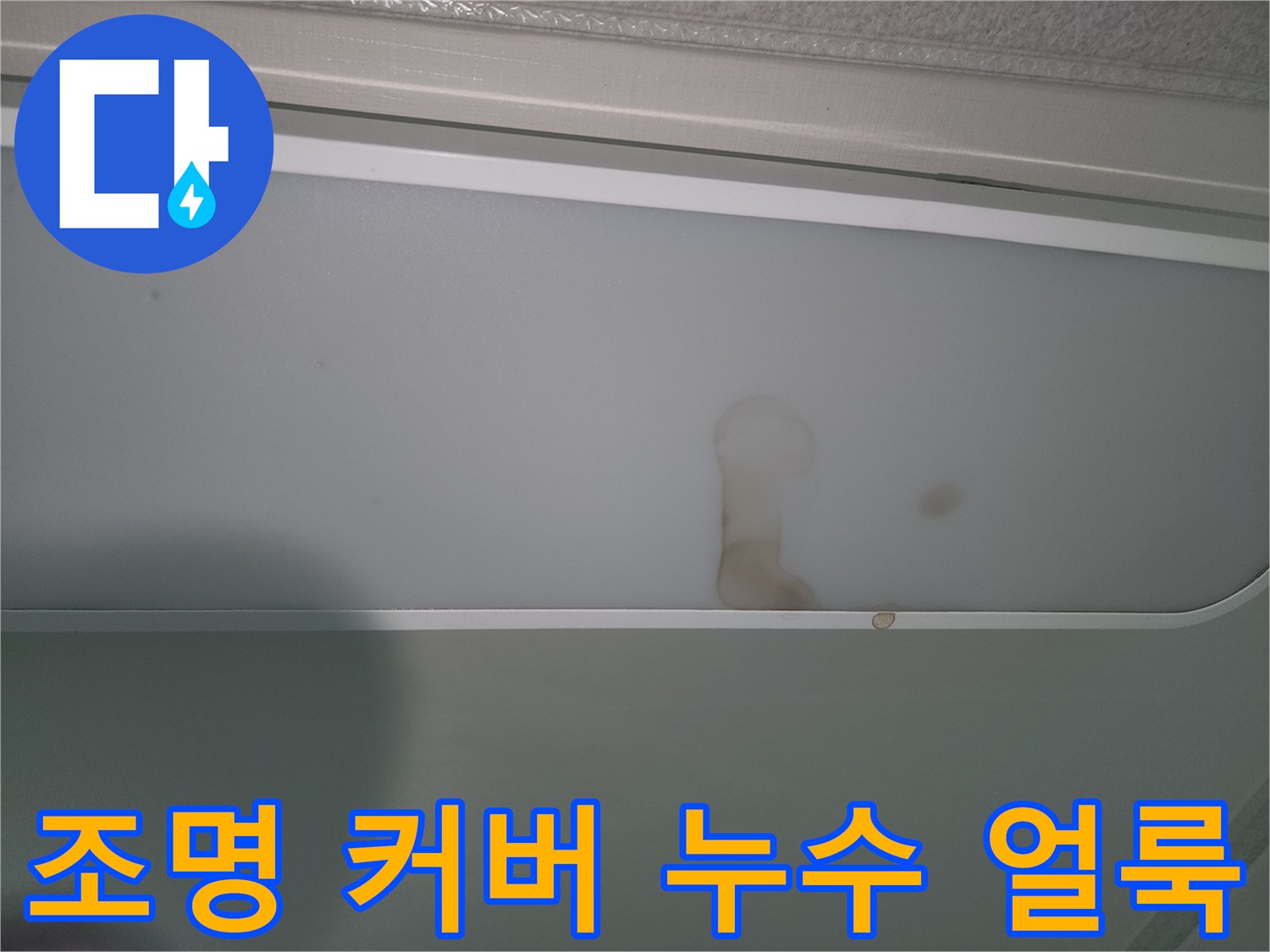 천장-조명-커버에-발견된-누수-얼룩-사진