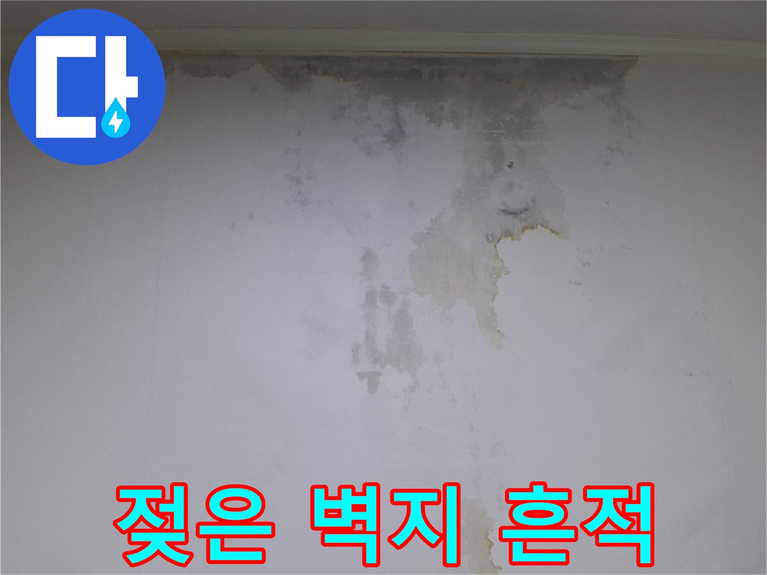 물샘으로 인한-벽지 변색 및 곰팡이 발생 현장