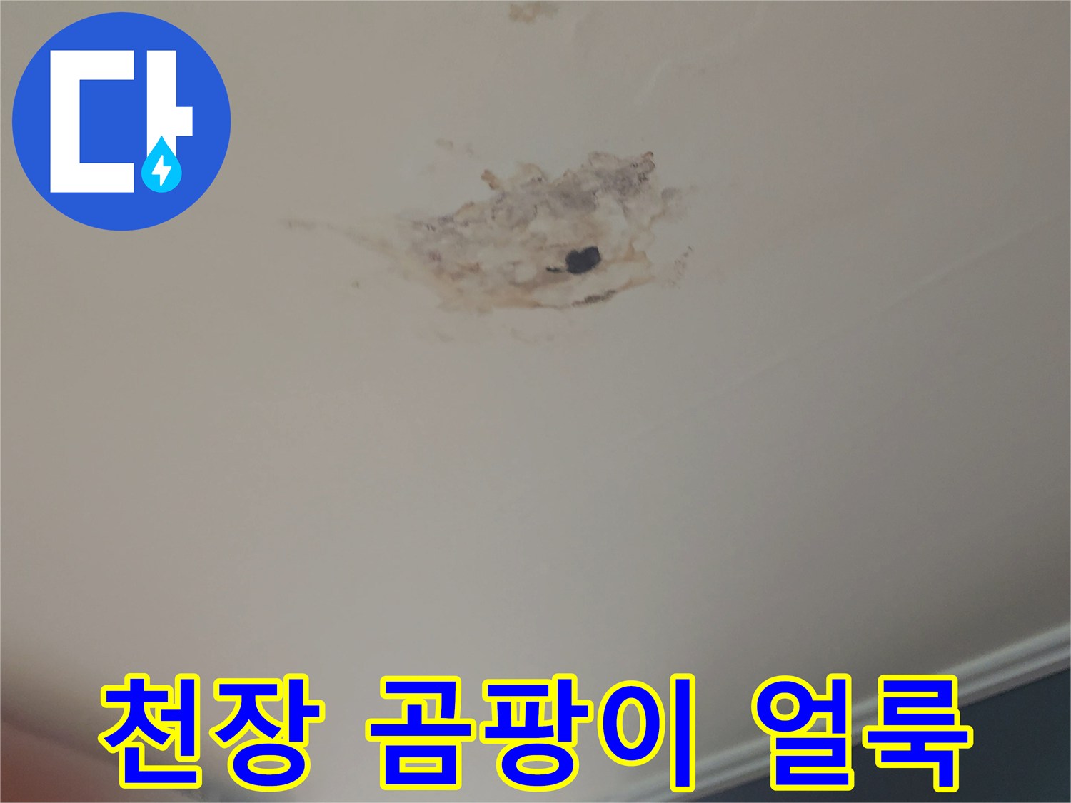 동작구 현장-천장 누수 흔적과 곰팡이 발생