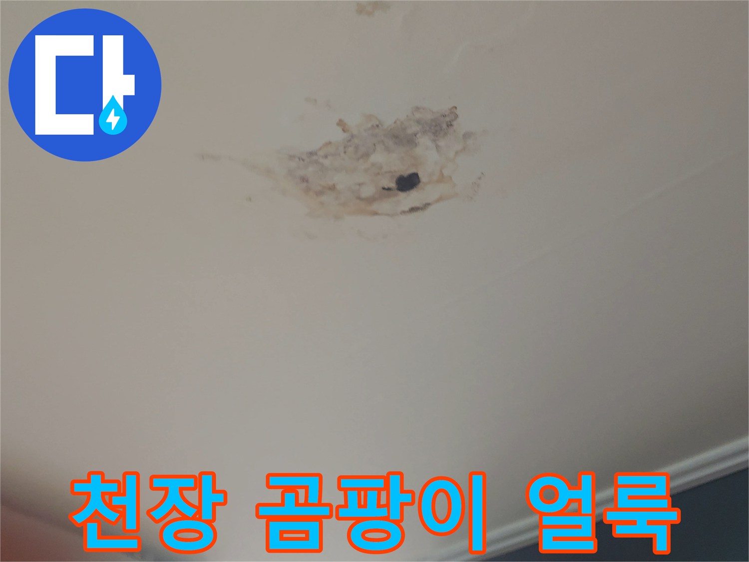사당동-주택-천장-오염된-부분-상세-사진