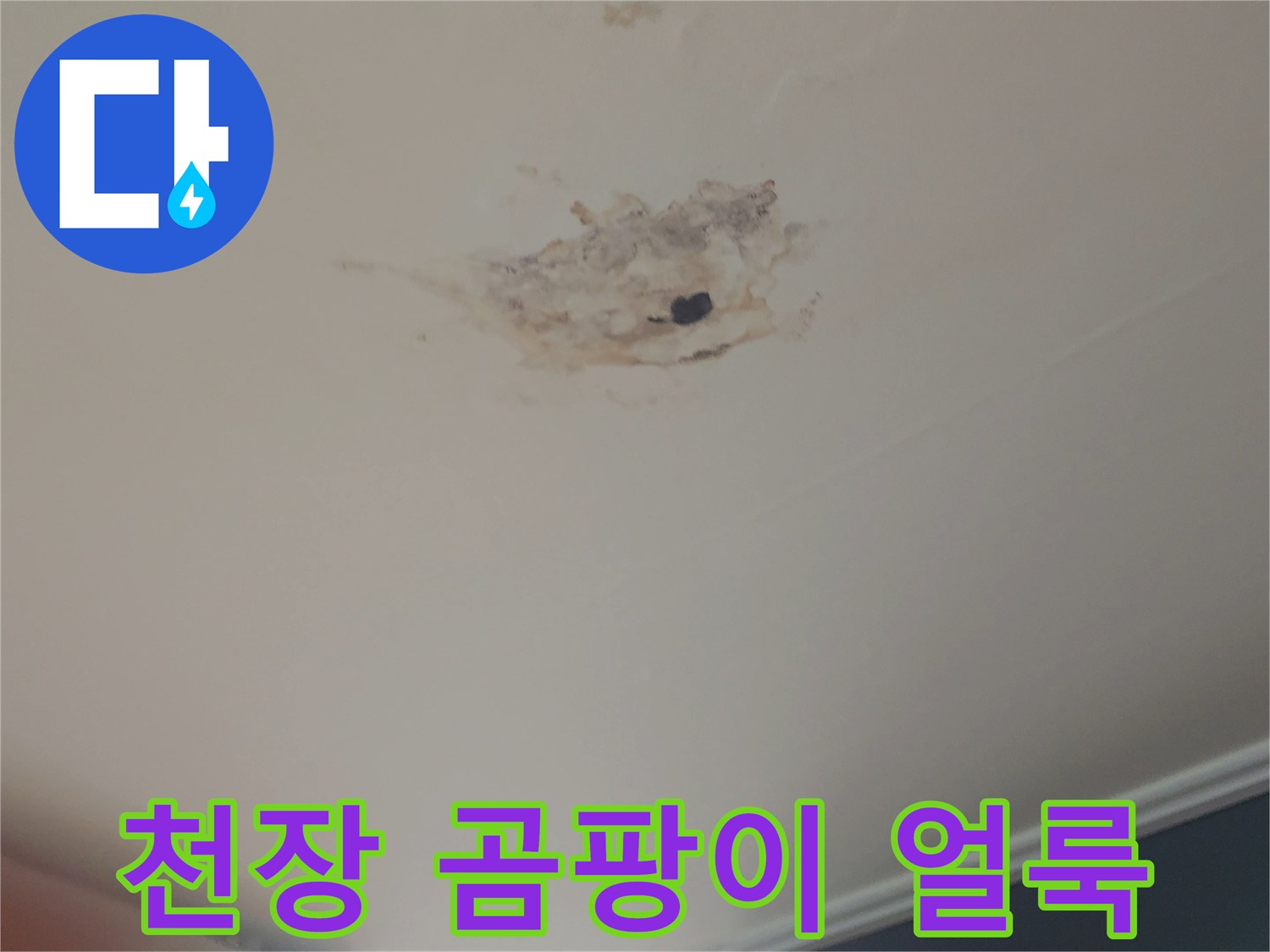 천장-마감재-훼손된-누수-흔적-상태