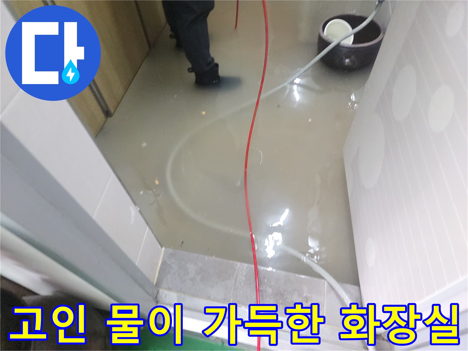 상가 화장실 바닥에 오수가 역류하여 찰랑거리는 장면