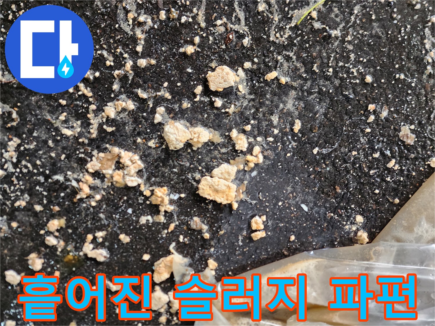 바닥에-뿌려진-오수-찌꺼기-및-슬러지