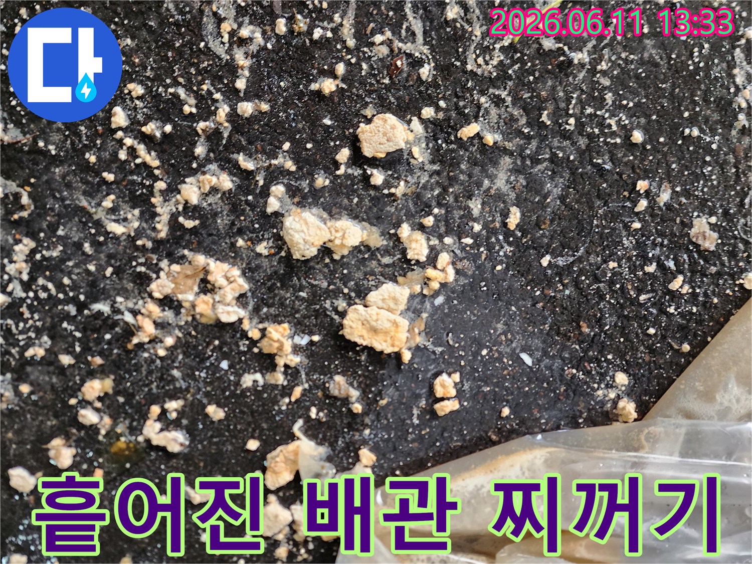 아스팔트 위로 쏟아진 하얀색 슬러지 덩어리들
