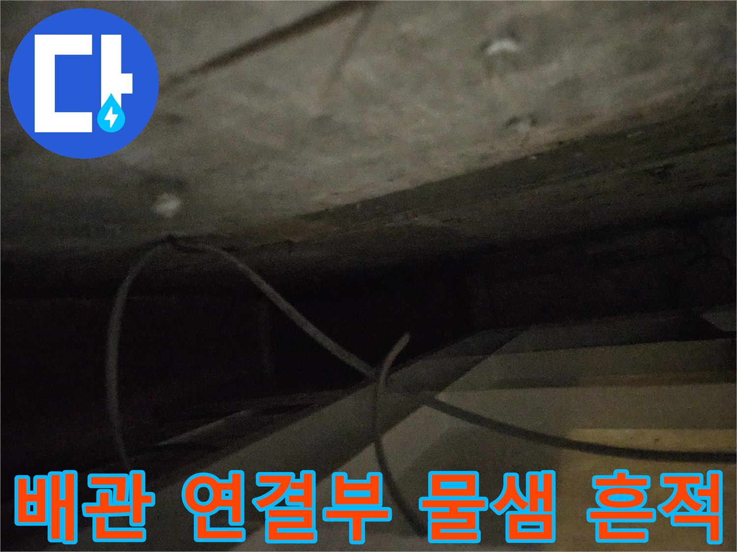하수구-연결-부위의-누수-흔적과-습한-상태