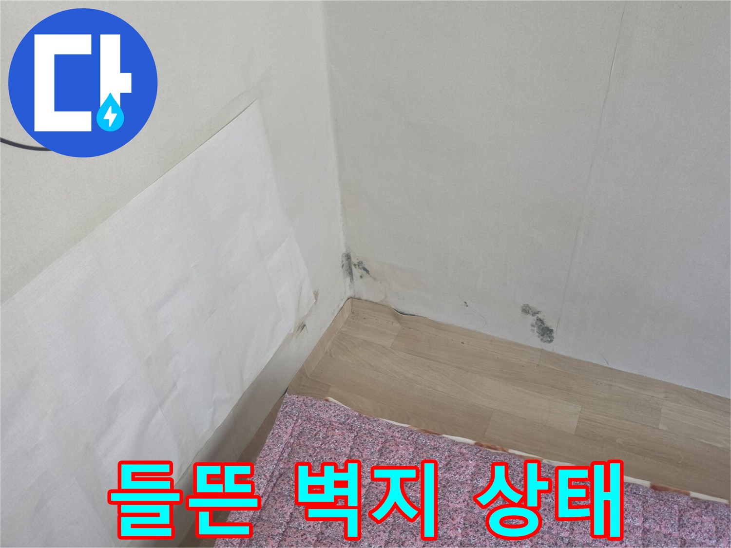 습기로-인해-벌어진-벽면-도배지