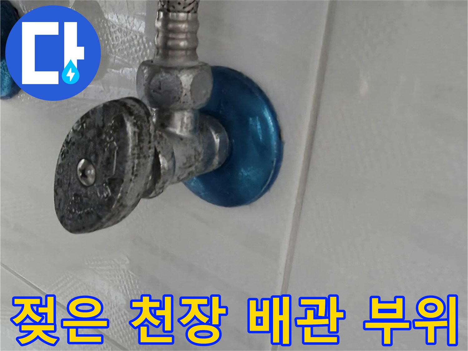 배관-주변-슬라브-습기-및-오염