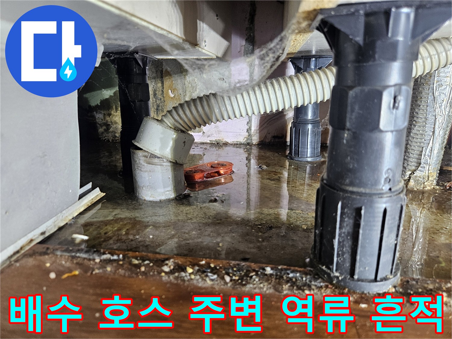 싱크대-배수-호스-연결부위-바닥-역류-상태