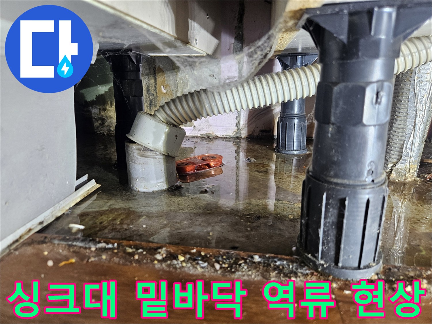 주방-싱크대-하부-배관-주변-물고임-현장