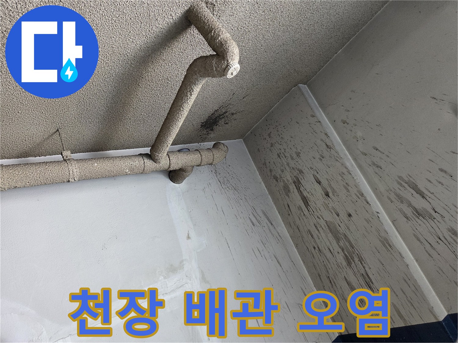 천장-배관-주변의-검은색-곰팡이와-오염-흔적
