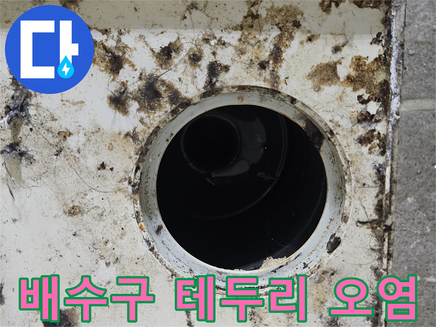 심하게-오염된-욕실-배수구-주변-상태
